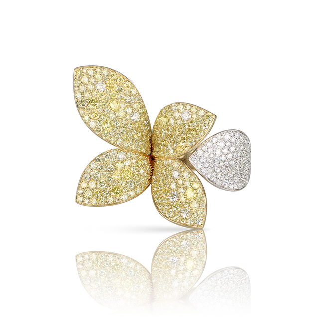 BAGUE GIARDINI SEGRETI AURA - 16584BG